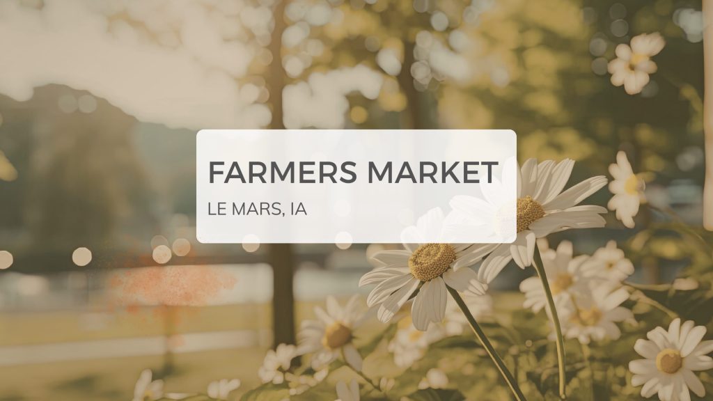 Graphic for the Le Mars Farmers Market featuring a soft floral background with daisies and text that reads “Farmers Market, Le Mars, IA.”