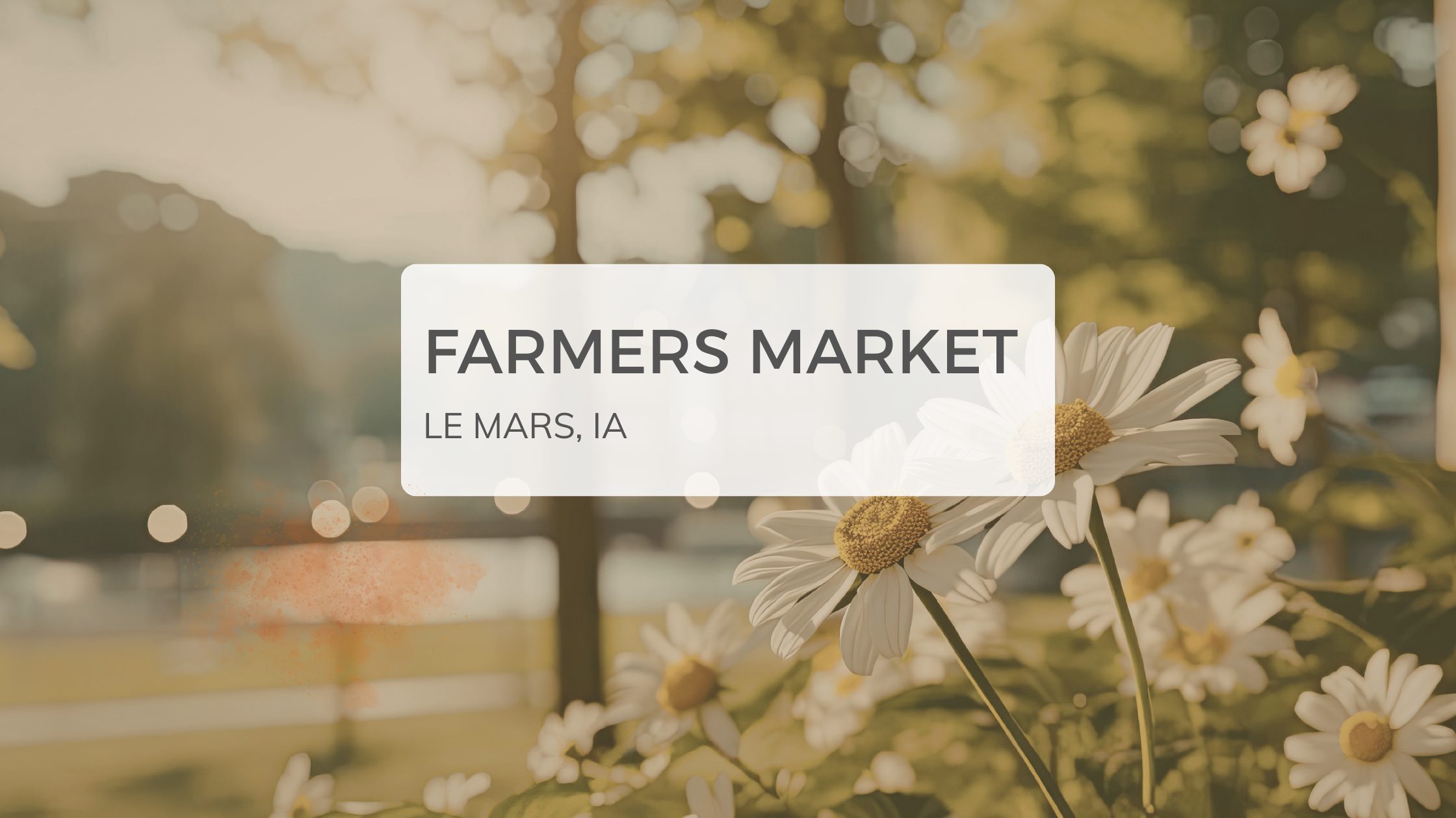 Graphic for the Le Mars Farmers Market featuring a soft floral background with daisies and text that reads “Farmers Market, Le Mars, IA.”